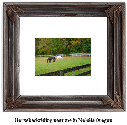 horseback riding near me in Molalla, Oregon